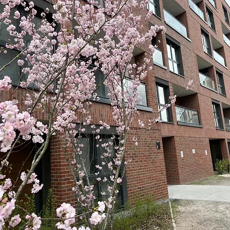 Διαμέρισμα Tropical Novum - Old Town