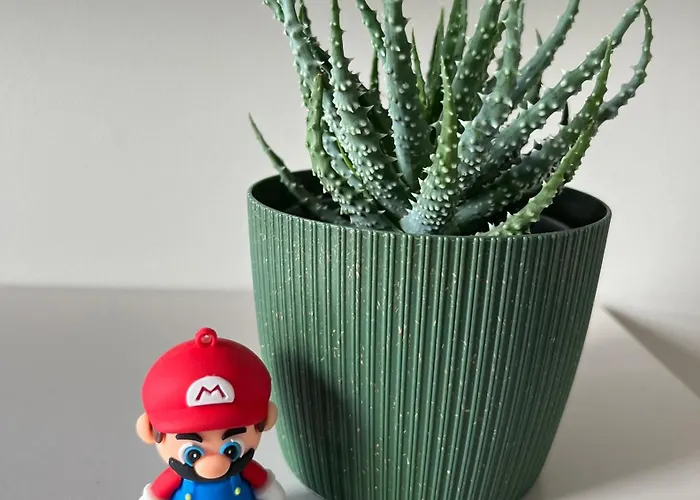 Apartamento Tropical Novum - Old Town Cracóvia