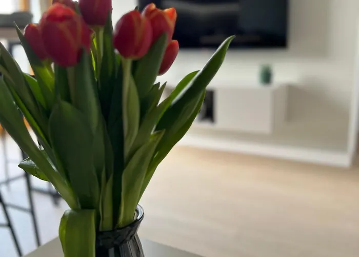 Tropical Novum - Old Town