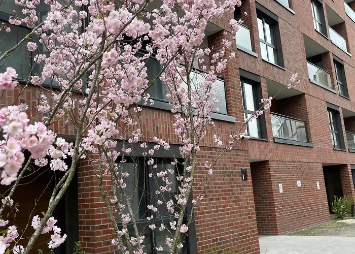 Apartamento Tropical Novum - Old Town